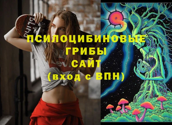 герыч Алзамай