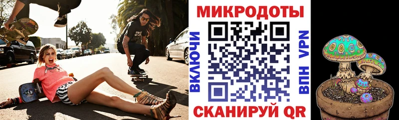 Псилоцибиновые грибы Psilocybe Анжеро-Судженск